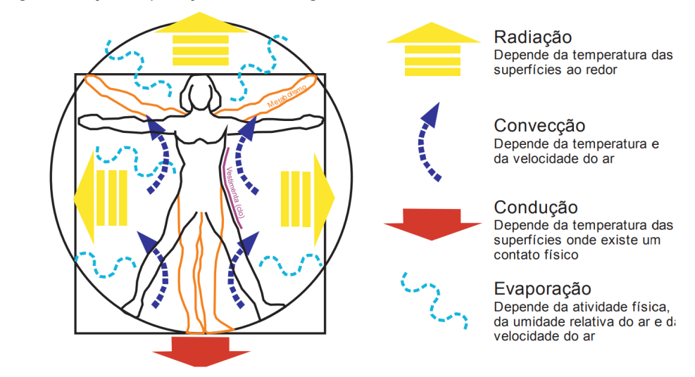 Ciências da Natureza – Temperatura, calor e sensação térmica: o