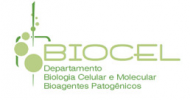 Departamento de Biologia Celular e Molecular e Bioagentes Patogênicos