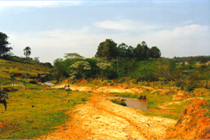 Nascente na Fazenda Santa Teresinha, Década de 1990  (Acervo CDCC - USP)