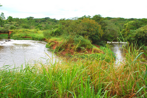 Foz do Rio do Monjolinho, no Rio Jacaré-Guaçu (Acervo CDCC - USP)