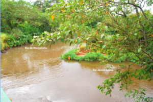 Foz do Rio do Monjolinho, no Rio Jacaré-Guaçu (Acervo CDCC - USP)