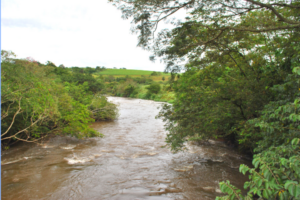 Rio Jacaré-Guaçu, Após Junção com  o Rio do Monjolinho (Acervo CDCC - USP)