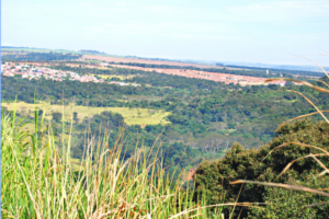 Vista geral da Microbacia  (Acervo CDCC-USP)