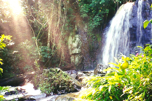 Cachoeira Monjolinho (Acervo CDCC - USP)