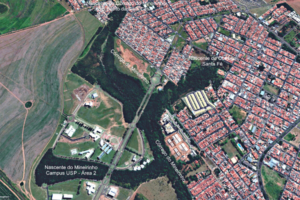 Vista Panorâmica da área de nascentes (Google Earth)