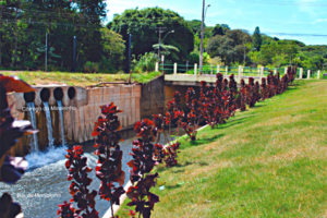 Entrada do Córrego do Mineirinho -  Rotatória do Cristo em 2018 (Acervo CDCC-USP)