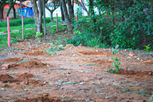 Atividade de recuperação da nascente do Córrego do Mineirinho - E.E. Bento da Silva Cesar em 2011 (Acervo CDCC-USP)