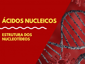 Leia mais sobre o artigo Estrutura dos nucleotídeos