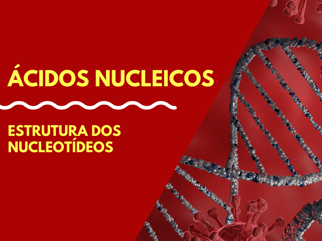 No momento, você está visualizando Estrutura dos nucleotídeos