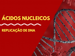 Leia mais sobre o artigo Replicação de DNA
