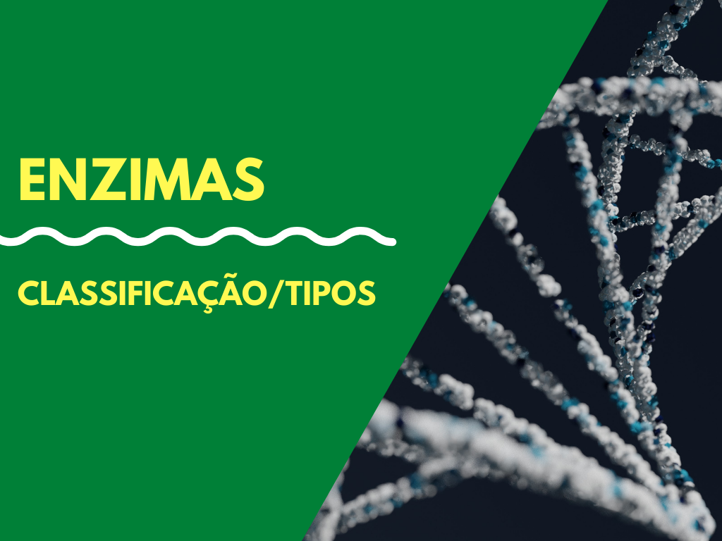 Tipos De Enzimas – Bioquímica Usp Bauru