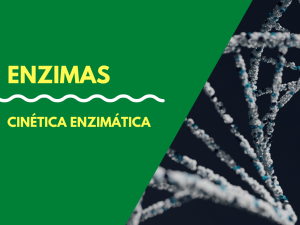 Leia mais sobre o artigo Cinética enzimática