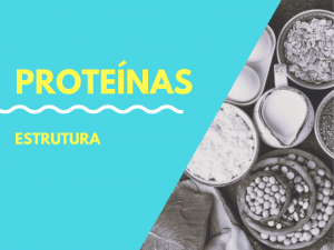 Leia mais sobre o artigo Estrutura das proteínas