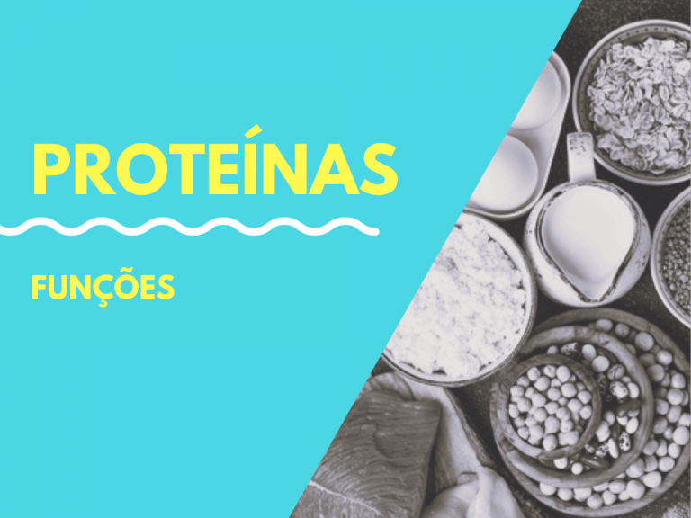 Funções Das Proteínas Bioquímica Usp Bauru 1343