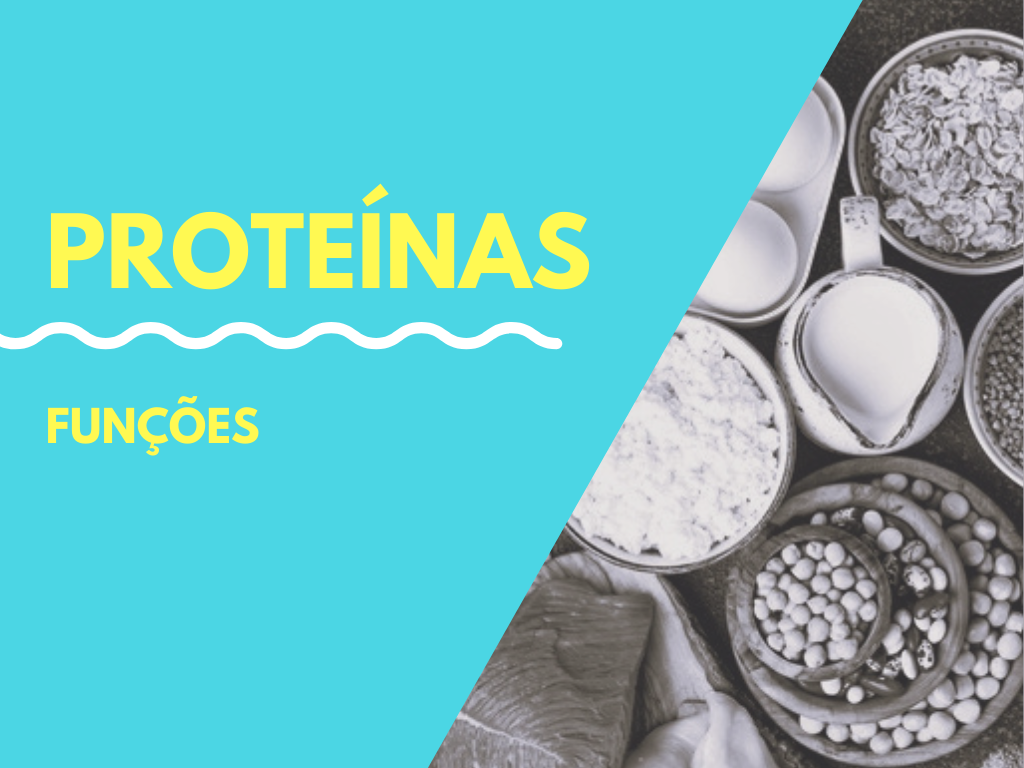 Leia mais sobre o artigo Funções das proteínas