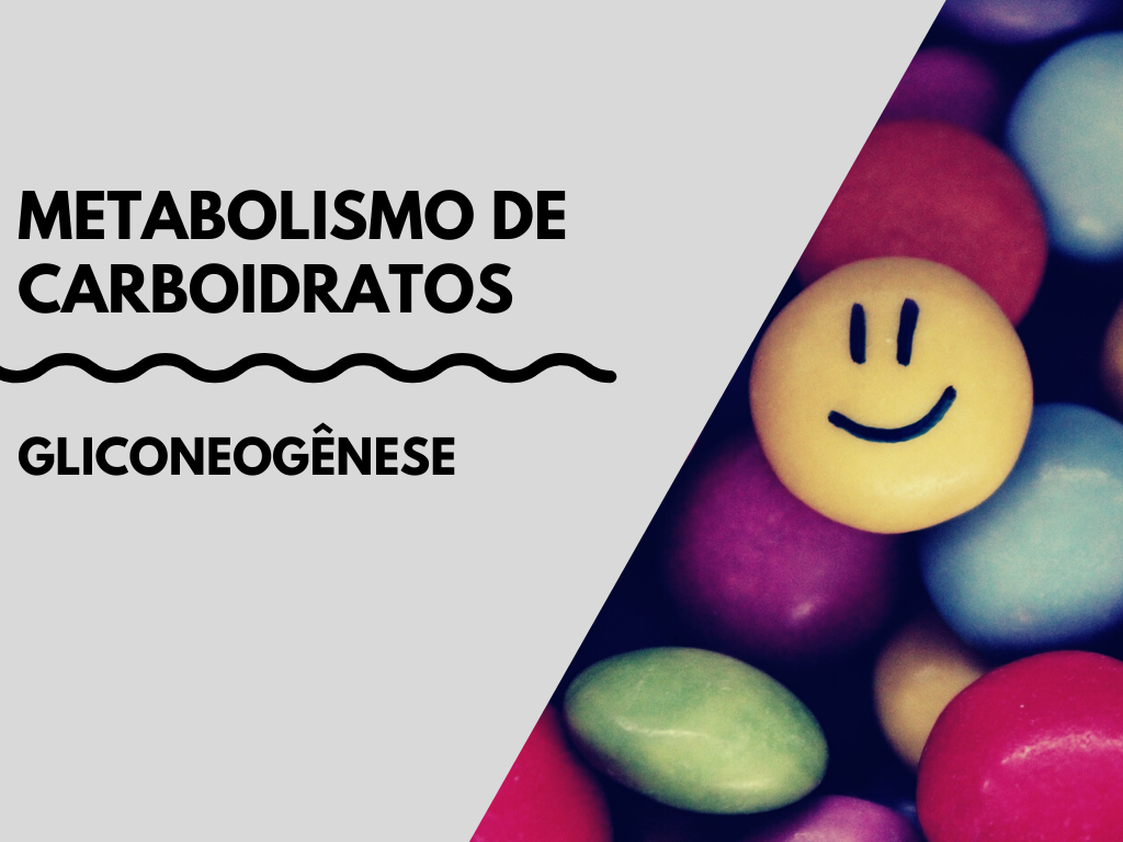 Leia mais sobre o artigo Gliconeogênese – Metabolismo de carboidratos