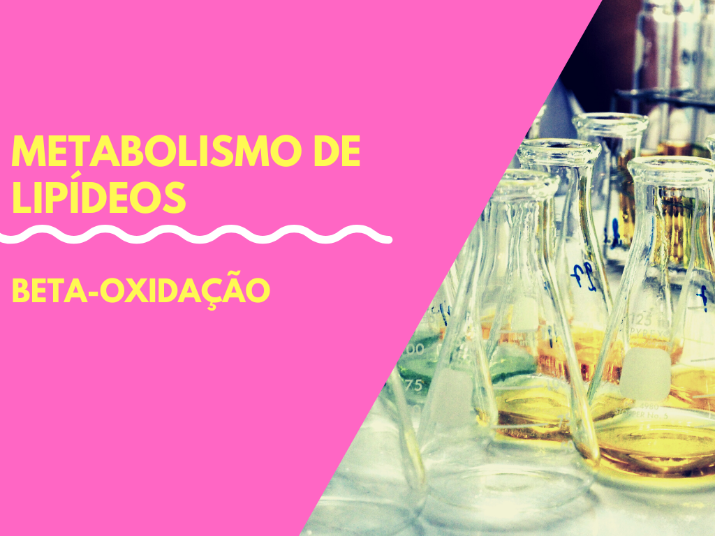 No momento, você está visualizando Metabolismo de lipídeos – Beta oxidação