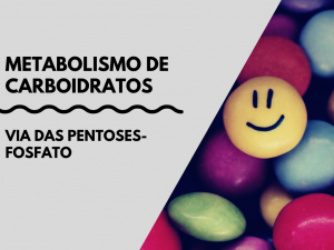 Leia mais sobre o artigo Via das pentoses – Metabolismo de carboidratos