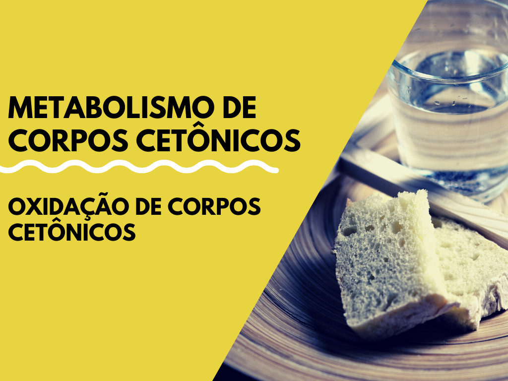 No momento, você está visualizando Metabolismo de Corpos Cetônicos – Oxidação