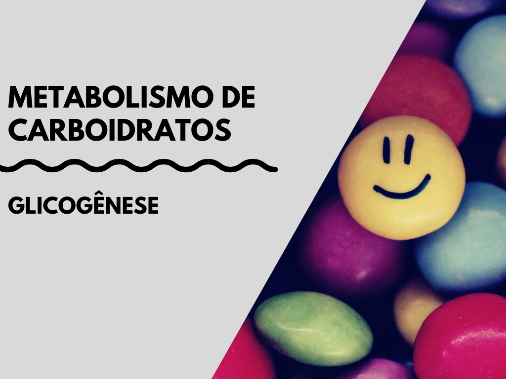 Leia mais sobre o artigo Glicogênese – Metabolismo de Carboidratos