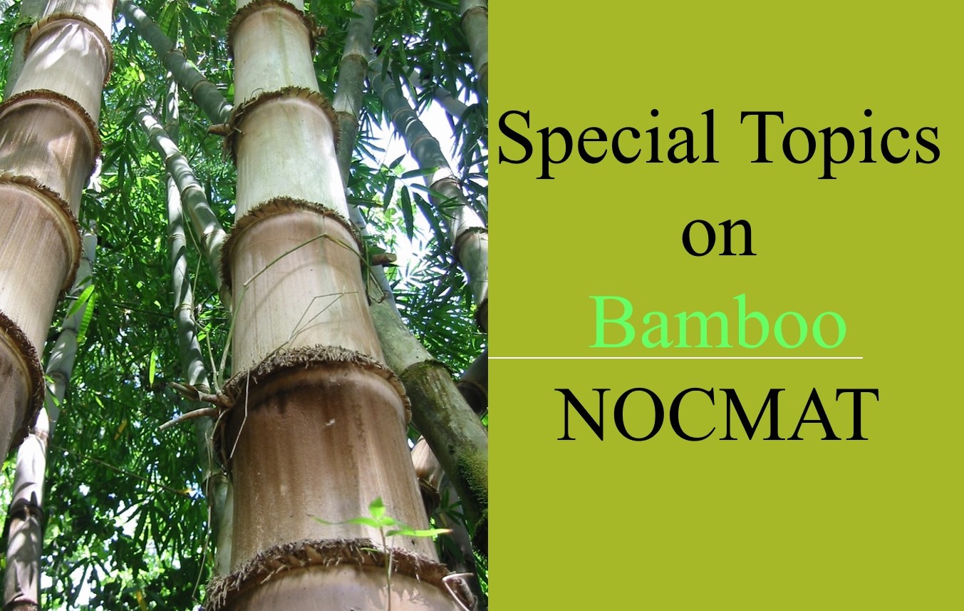 Bamboo NOCMAT