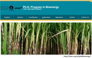 Figura 3. Programa de pós-graduação em Bioenergia.