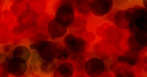 Estudo da FMRP-USP conclui que reprogramacao de células eh o caminho para estudar e tratar anemia
