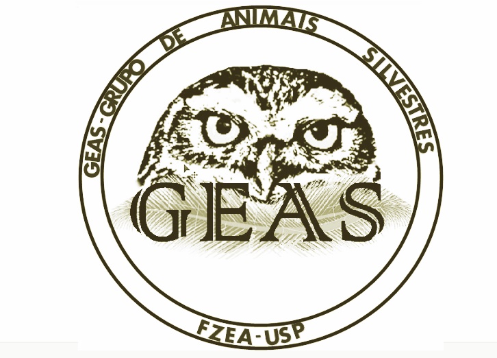 Cópia de logo do GEAS