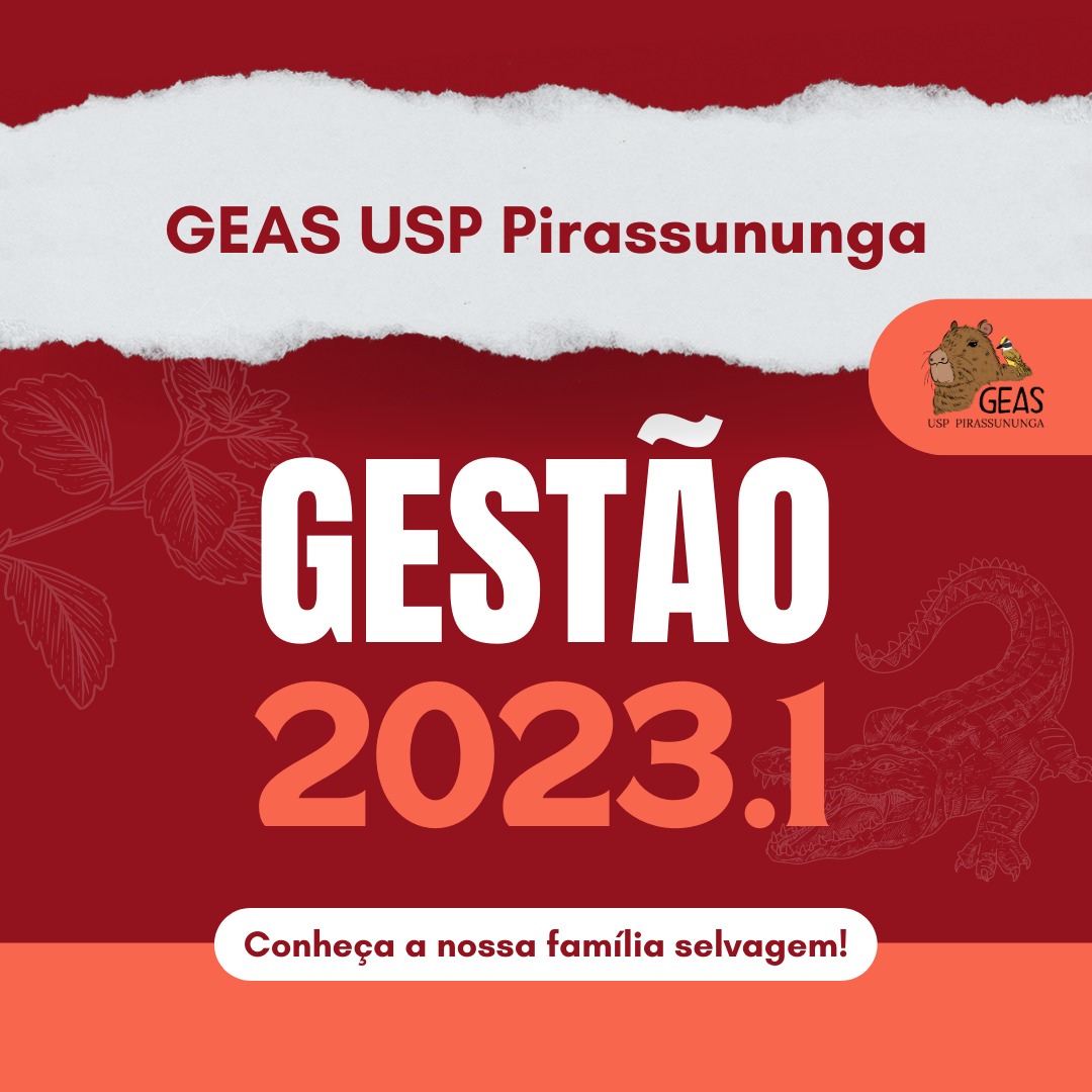 Gestão 2023