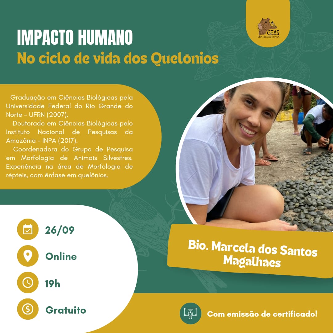 No momento, você está visualizando #Palestra – Impacto humano no ciclo de vida dos quelônios