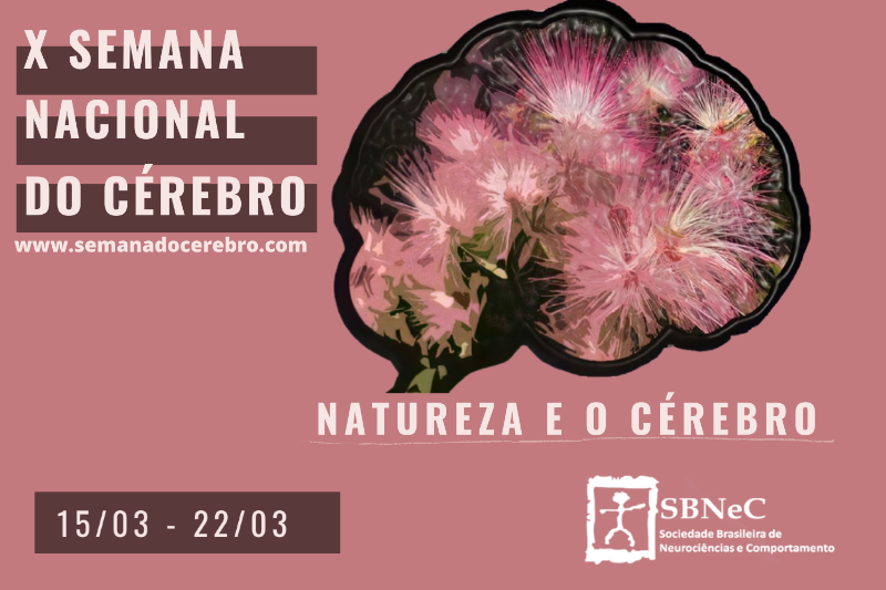 Eventos on-line da Rede CienArtES integram X Semana Nacional do Cérebro