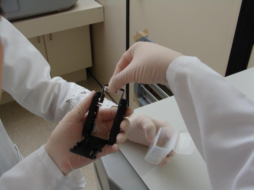Agilent microarray slide