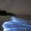 Depoimentos sobre a disciplina IOF0276 – Bioluminescência e Química de Processos Biológicos Marinhos