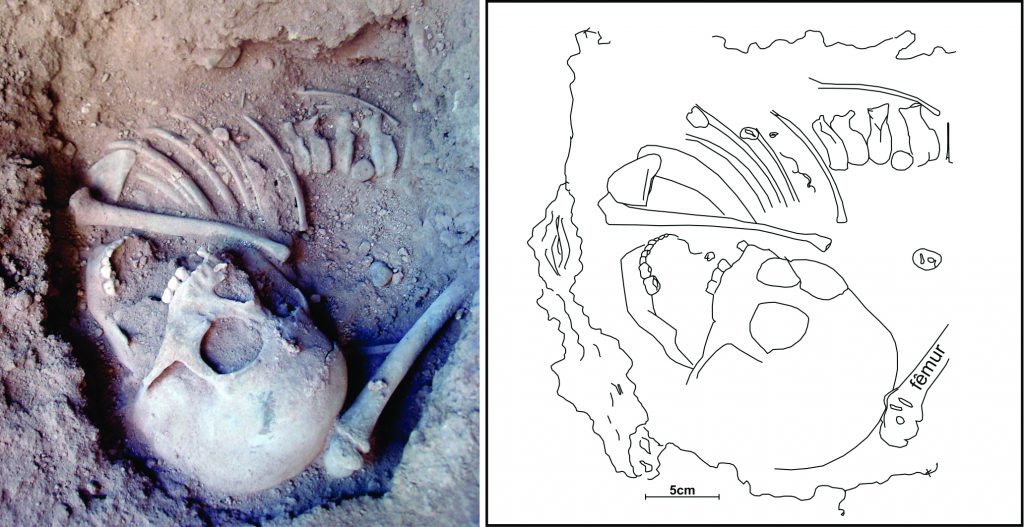 File:Lapa do Santo - Sepultamento 27 - Maxilar e mandibula.jpg