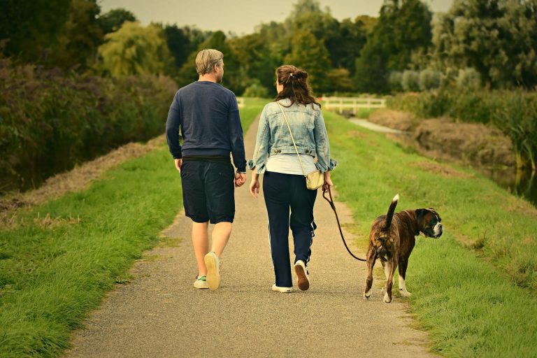 Leia mais sobre o artigo Projeto – Comportamento ciumento em cães com rivais humanos