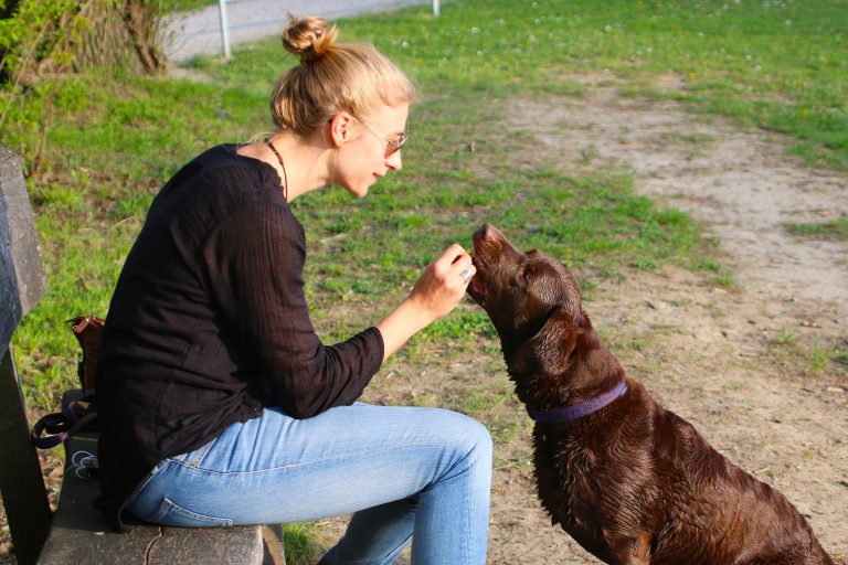 Leia mais sobre o artigo Projeto – Leitura de emoções a partir das expressões faciais de cães por humanos