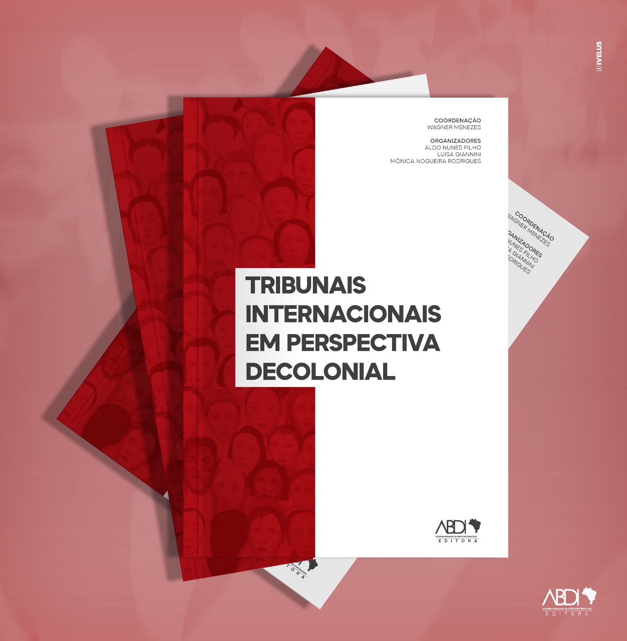 Leia mais sobre o artigo NETI-USP anuncia a publicação da obra ‘Tribunais Internacionais em Perspectiva Decolonial’