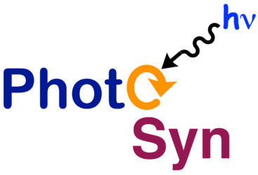 PHOTOSYN - Photocatalysis and Organic Synthesis Laboratory