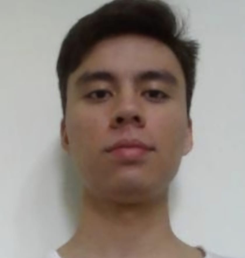 Uploaded image