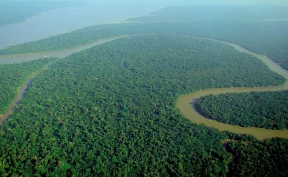 Leia mais sobre o artigo Amazônia