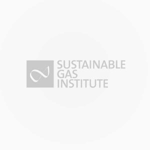 sutainable-gas-institute