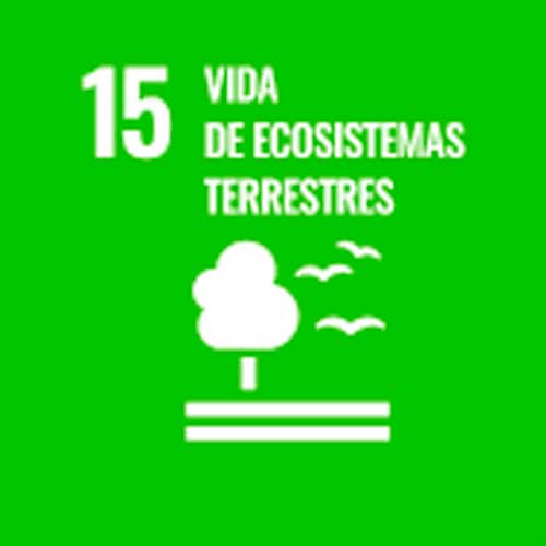 ods 15_vida_de_ecosistemas_terrestres