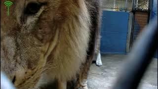 You are currently viewing Visit at the zoo