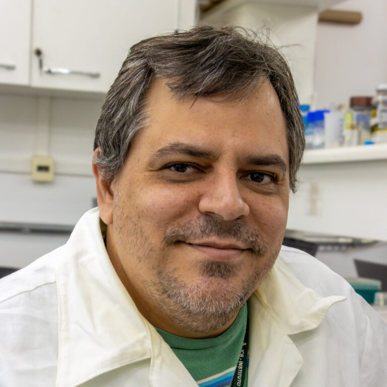 Prof. Dr. Marcio Vinicius Bertacine Dias